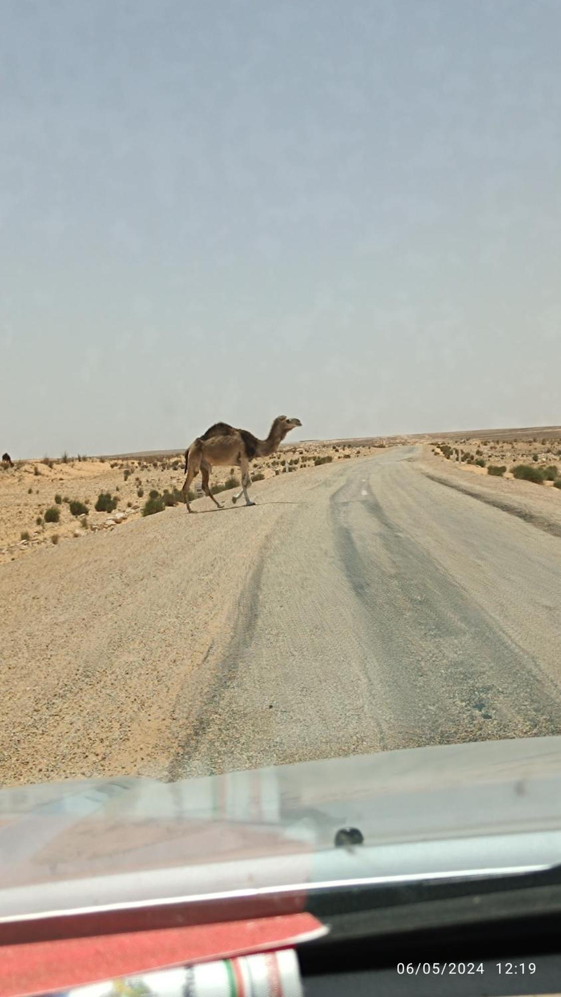 Dar Lagune Djerba Vue De Mer Al Haddadah Esterno foto
