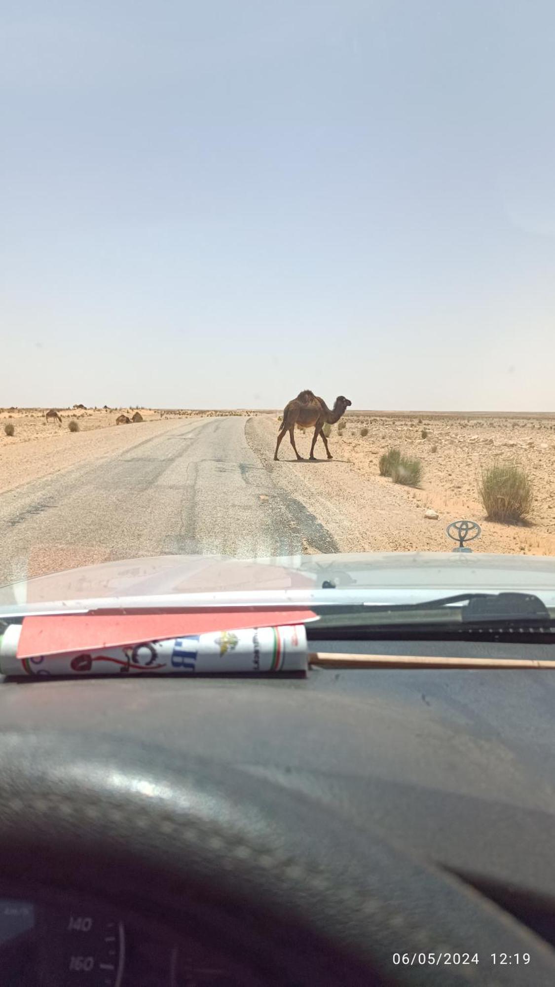 Dar Lagune Djerba Vue De Mer Al Haddadah Esterno foto