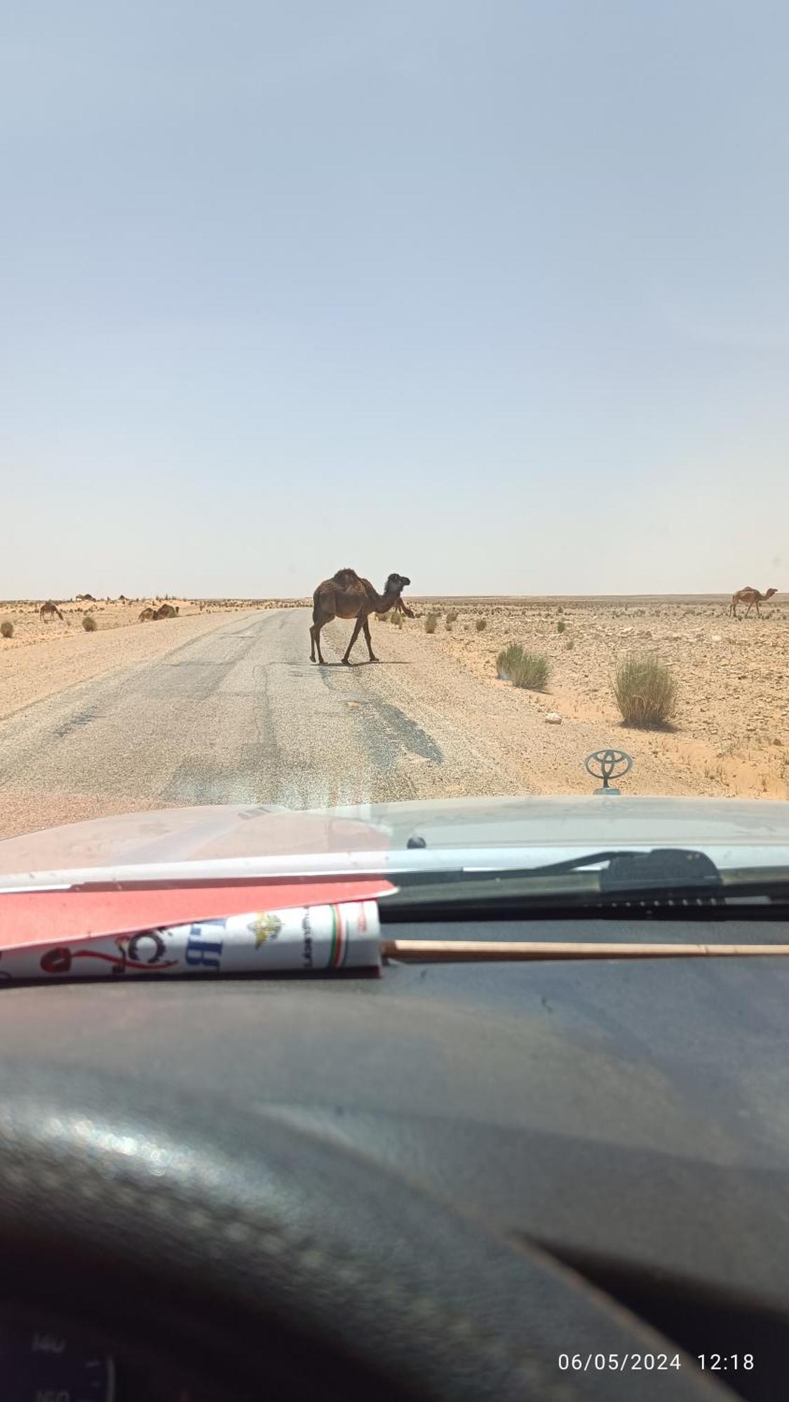 Dar Lagune Djerba Vue De Mer Al Haddadah Esterno foto