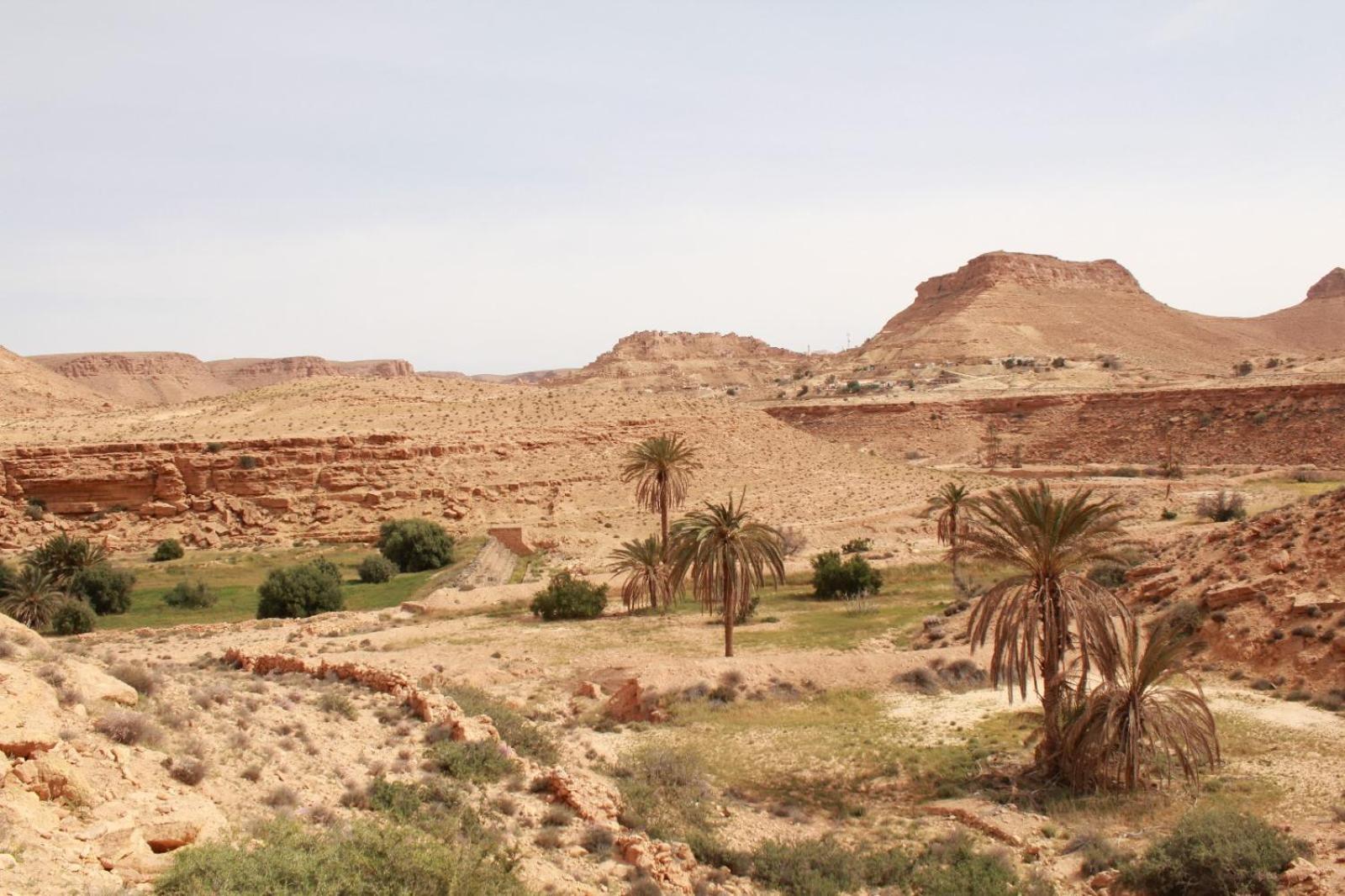 Dar Lagune Djerba Vue De Mer Al Haddadah Esterno foto