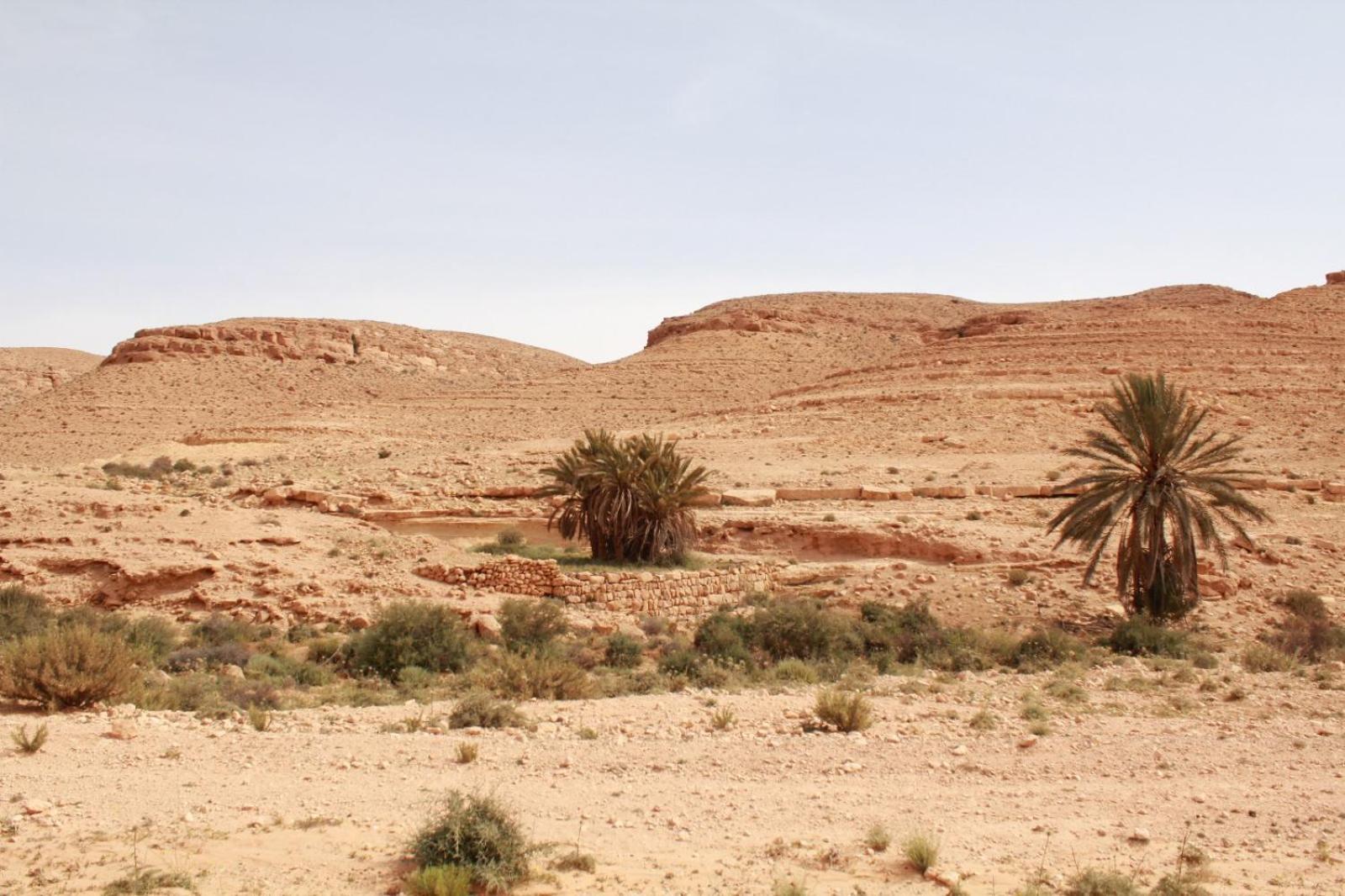 Dar Lagune Djerba Vue De Mer Al Haddadah Esterno foto