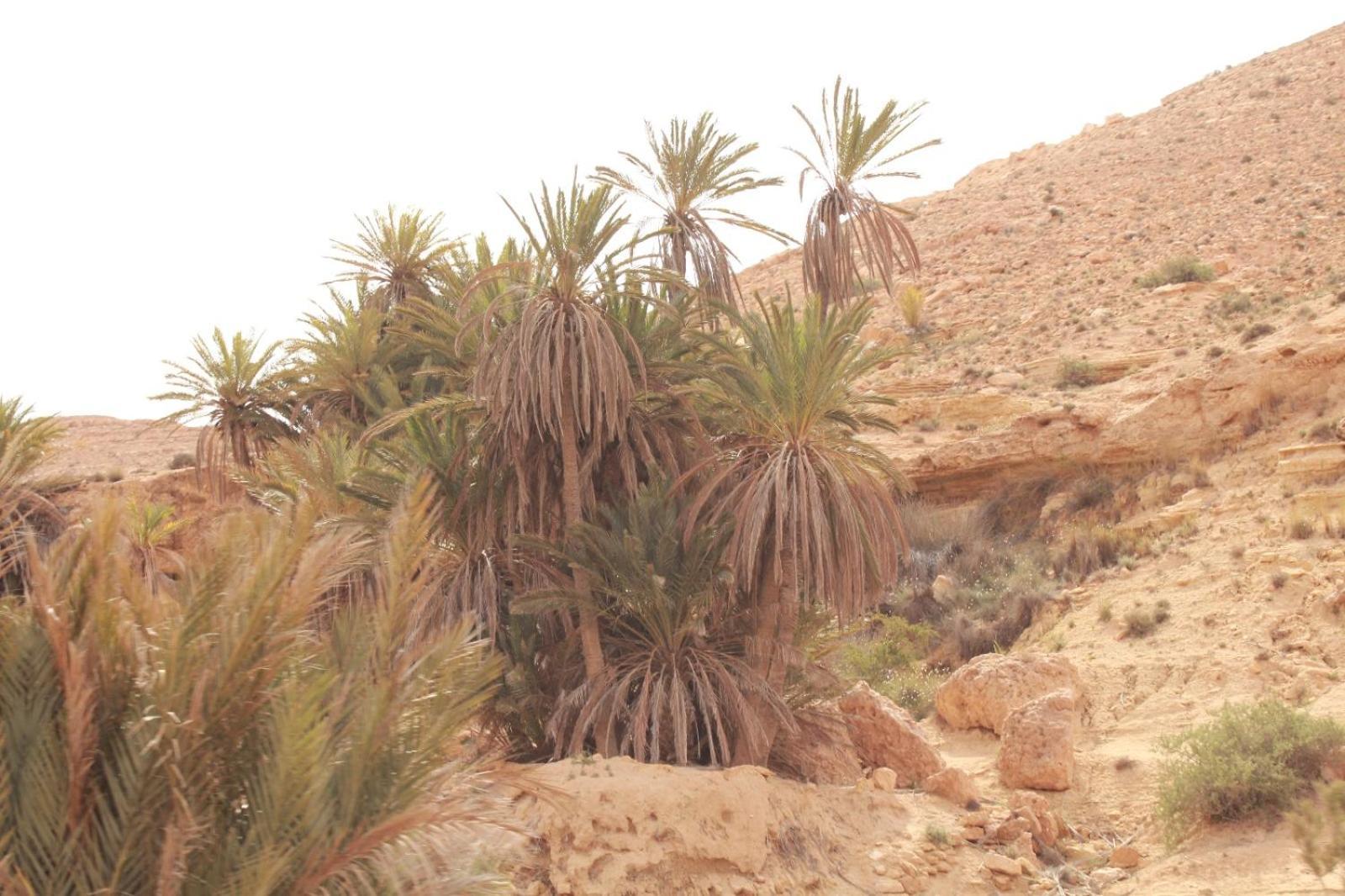 Dar Lagune Djerba Vue De Mer Al Haddadah Esterno foto